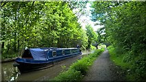 SJ9273 : Chop Suey on Macclesfield Canal by Chris Morgan