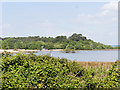SZ0387 : Brownsea Island, The Lagoon by David Dixon