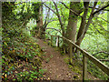 Path along the edge of Branksome Dene Chine