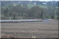 Bales at the bottom of the field