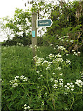 TM0952 : Footpath sign near St.Andrew's Church by Geographer