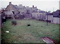 The rear of houses on Kilmarnock Road, Monkton