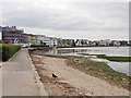 SZ0488 : Poole Harbour, Banks Road by David Dixon