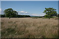 Rough grassland, west of Killearn