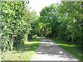 Driveway to Brook Lane Farm