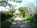 Track (bridleway) to Longlands Head Farm