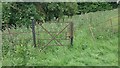 Unused gate, field off Smith