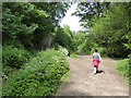 On the Wye Valley Walk below Lone Lane, Penallt