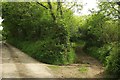 Lane and track, South Dinnicombe