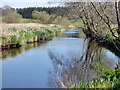 The River Gryffe