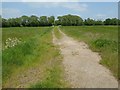 Footpath and farmland track