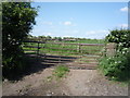 Field entrance off the B5307, Moorhouse