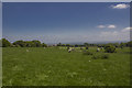 Pastureland near Tai-nant