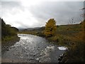 Ettrick Water