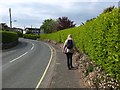 Polvarth Road, St Mawes, Cornwall