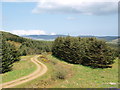 Road through the forest to Lochorodale