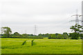 Wheat field and pylons near Unwins Farm, Finchingfield 