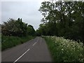 Towards Potter Hill