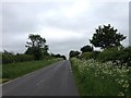 Towards Collingham