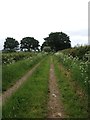 Path to Collingham