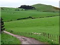 NU0315 : Grassland near Fawdon Burn by Andrew Curtis