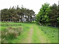 Track near Castle Knowe