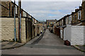 Back Alley behind Reed Street