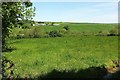 Field above the Bude Aqueduct