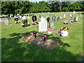 A Sunday morning visit to Petersfield Cemetery (31)