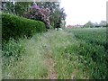 Footpath to High Street (B2046)