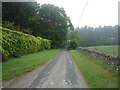 Lane near Temperley Grange