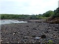 NT6381 : Tyne mouth foreshore by Stephen Darlington