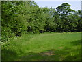 Field alongside Waterside Fish Farm