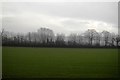 Farmland, Norton Hayes Farm