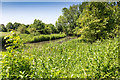 River Leam from Riverside Walk