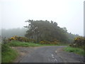 Sharp bend in the road towards Healey