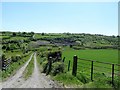 Lane linking Ballintemple Road with a disused stone quarry