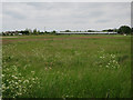 TL3368 : Meadow in Fen Drayton by Hugh Venables