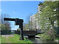 Hoist by the New River north of Hoe Lane (3)