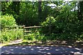SO9173 : Public footpath to Woodcote Lane, near Dodford, Worcs by P L Chadwick
