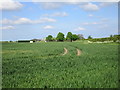 Wheatfield and Starnhill Farm