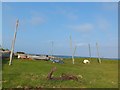 Old net drying posts at Balintore