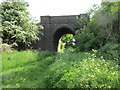 Bridge under the old railway