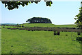 NX3657 : Farmland at Torhousekie by Billy McCrorie
