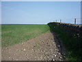 Crop field and stone wall