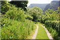 Garden path, Nant-ewyn