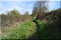 Footpath to Biddenham