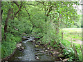 Clough Brook