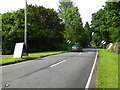 Looking northwards on Paddockhurst Road