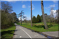 Path into Singleton Park